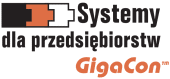 SDP GigaCon – rozwiązania informatyczne dla przedsiębiorstw 3