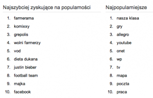 Google Zeitgeist 2010: chatroulette, Beiber i farmerzy 3