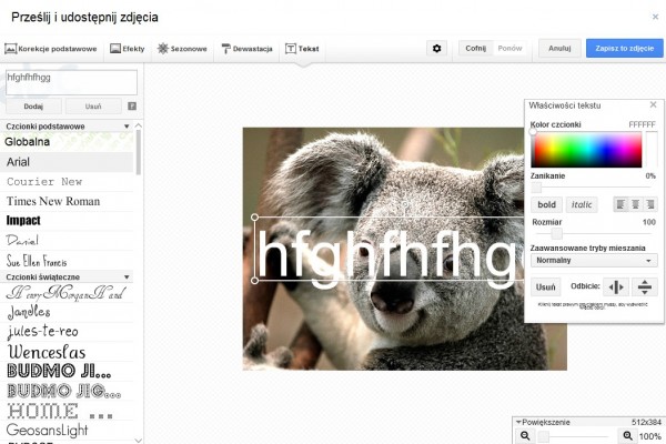 Zdjęcia z podpisem w Google+ 4