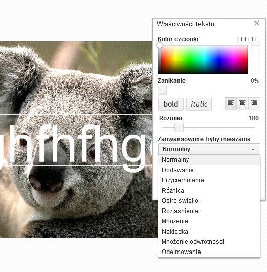Zdjęcia z podpisem w Google+ 5