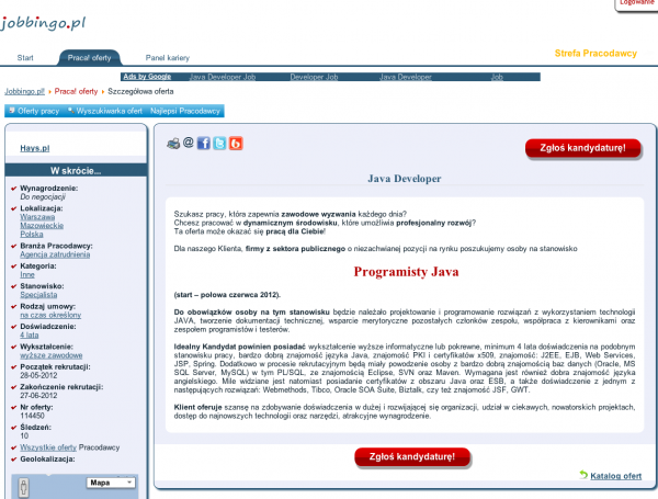 Jobbingo.pl – internetowy „pośredniak” 5