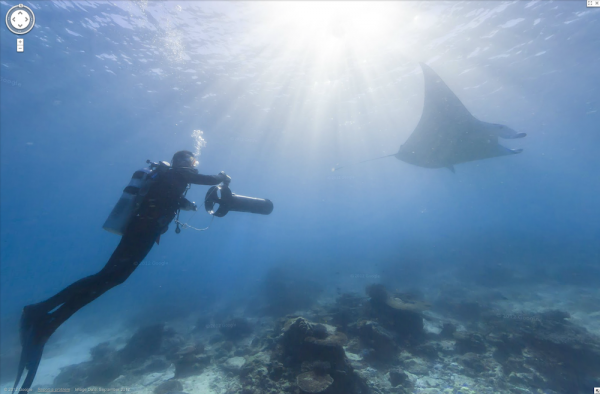 Odkryj rafę koralową z Google 3