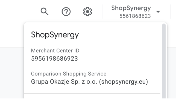 Inflacja kosztów w Google Ads – jak przestać przepłacać za każdy klik w e-commerce? 4