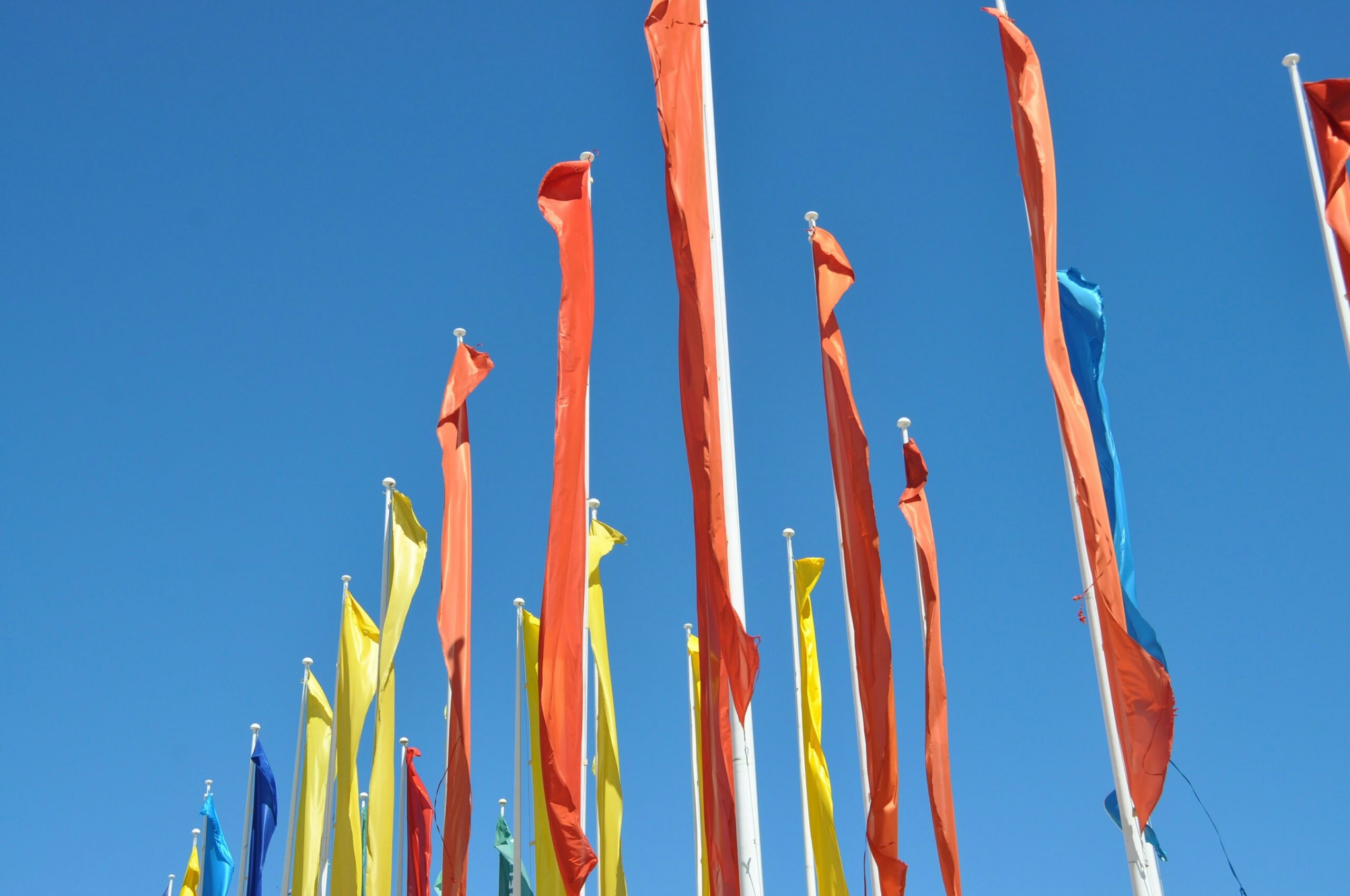 Od projektu graficznego po gotowy żagiel reklamowy – jak powstają skuteczne reklamy outdoorowe krok po kroku? 3